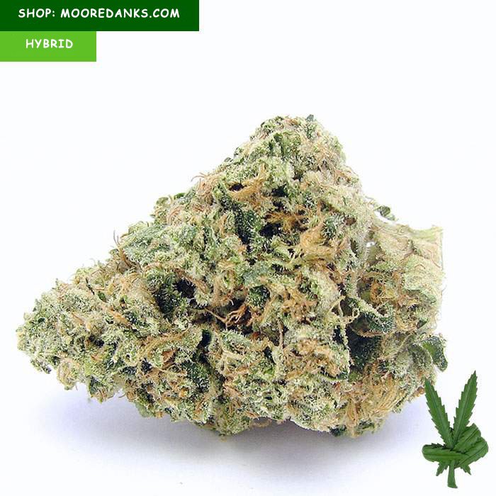 Cherry pie weed strain for sale near me - mail order weed discreet shipping