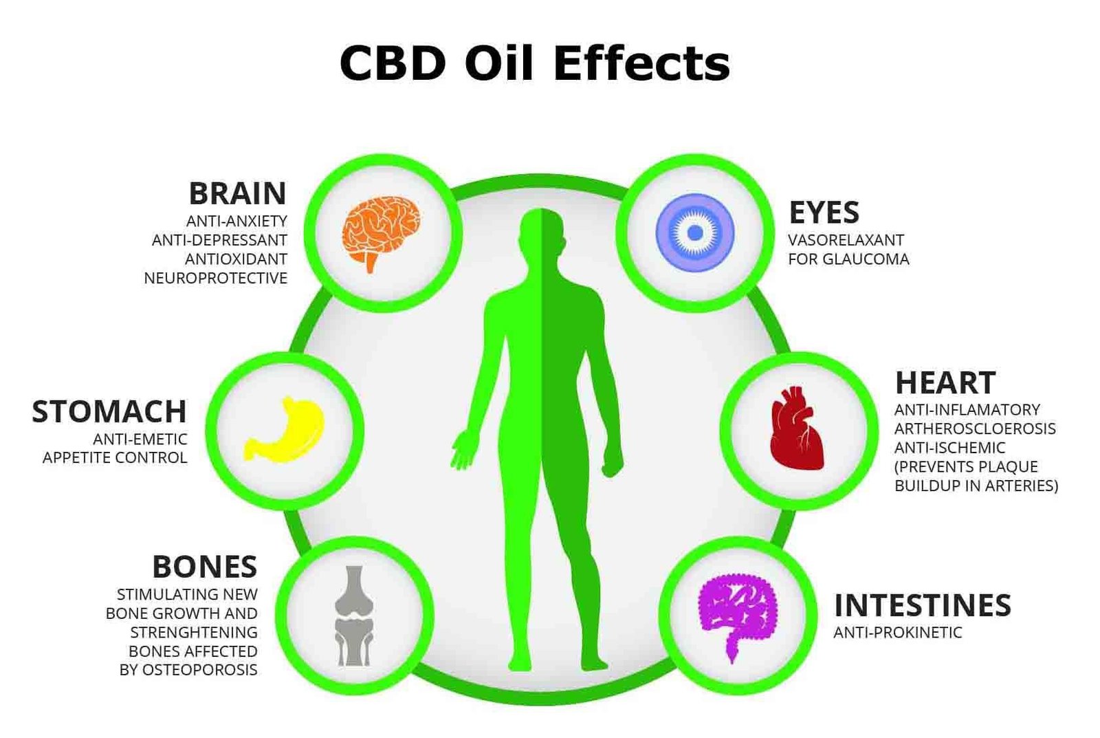 Cannabidiol-CBD-Oil-Benefits-Info-Guide-Types-Effects