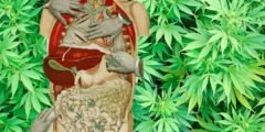 Cannabis & Digestion